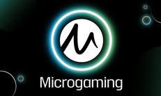 Microgaming